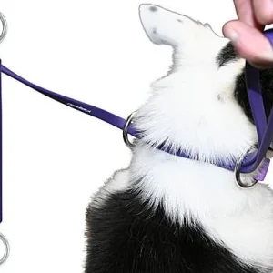 1/2" BioThane Fast CAT/Lure Coursing Lead