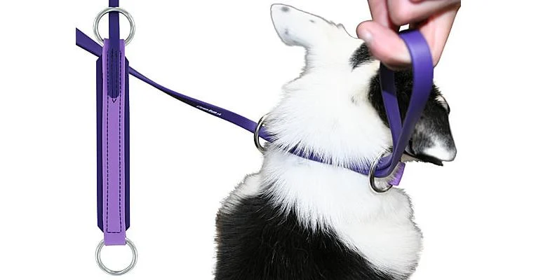 1/2" BioThane Fast CAT/Lure Coursing Lead