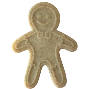 SP Gingerbread Man Ultra Durable Nylon Dog Chew Toy for Aggressive Chewers