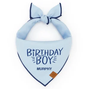 Birthday Boy Embroidered Dog Bandana