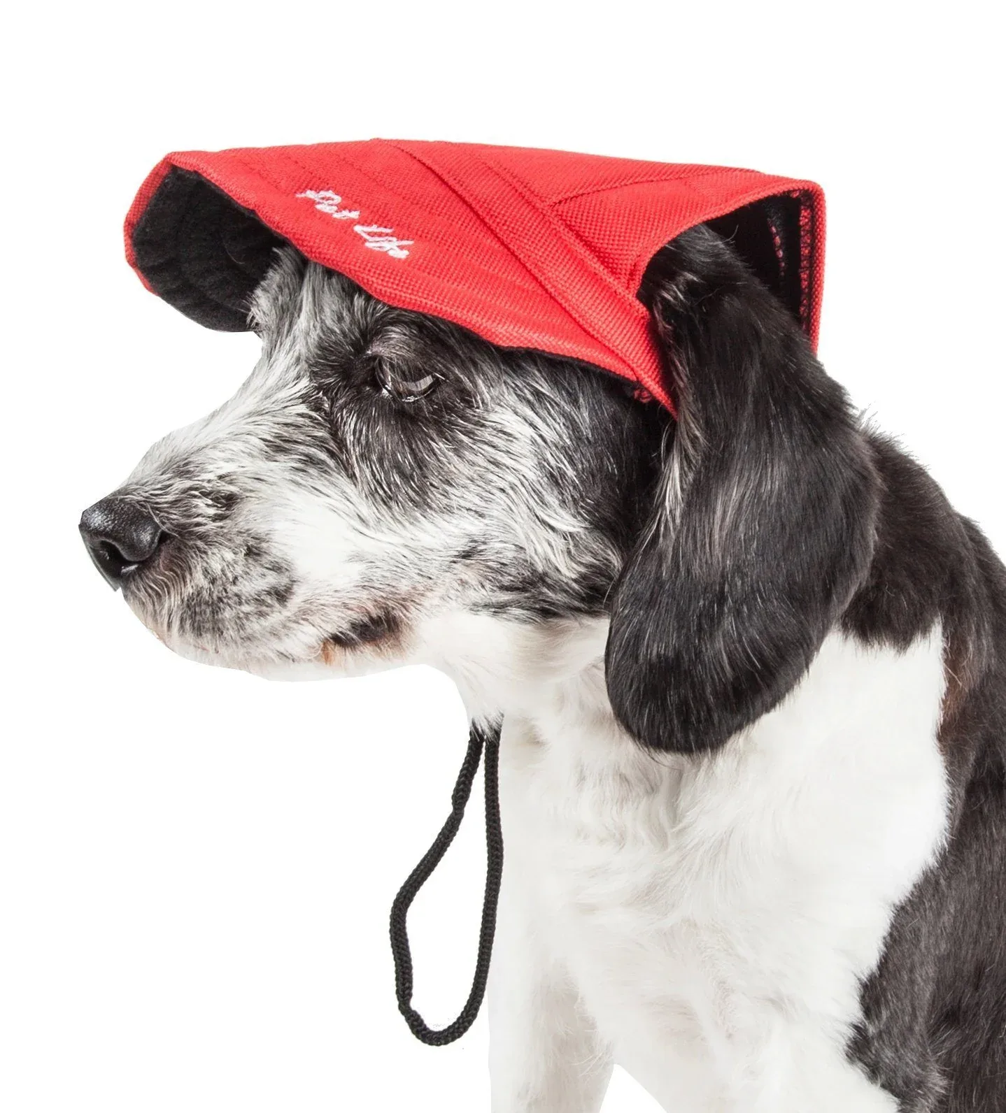 Pet Life ® 'Cap-Tivating' UV Protectant Adjustable Fashion Dog Hat Cap - Image 2
