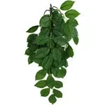 Komodo Green Leaf Hanging Silk Plant for Reptile Terrariums, 16 in - Image 2