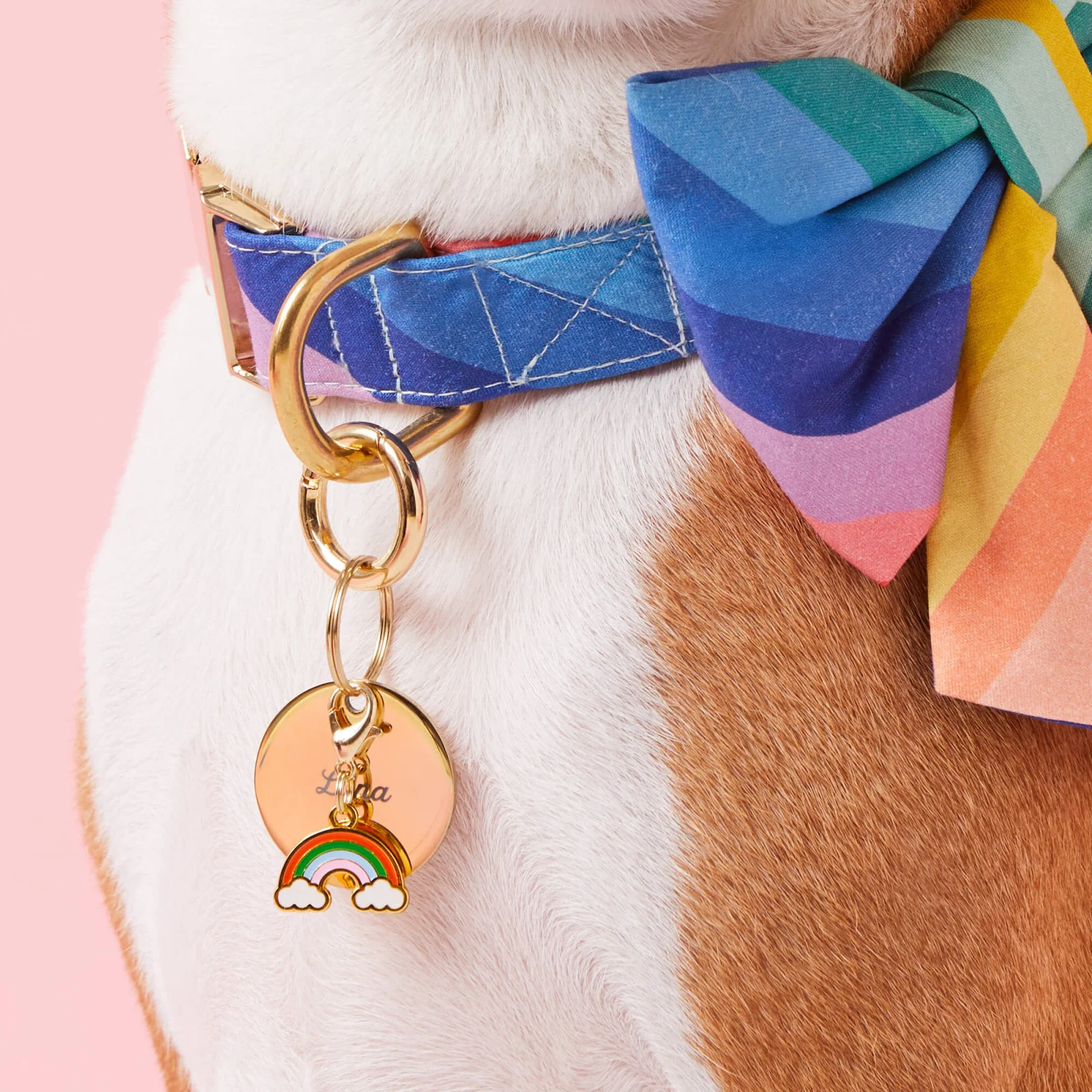 Rainbow Collar Charm - Image 2