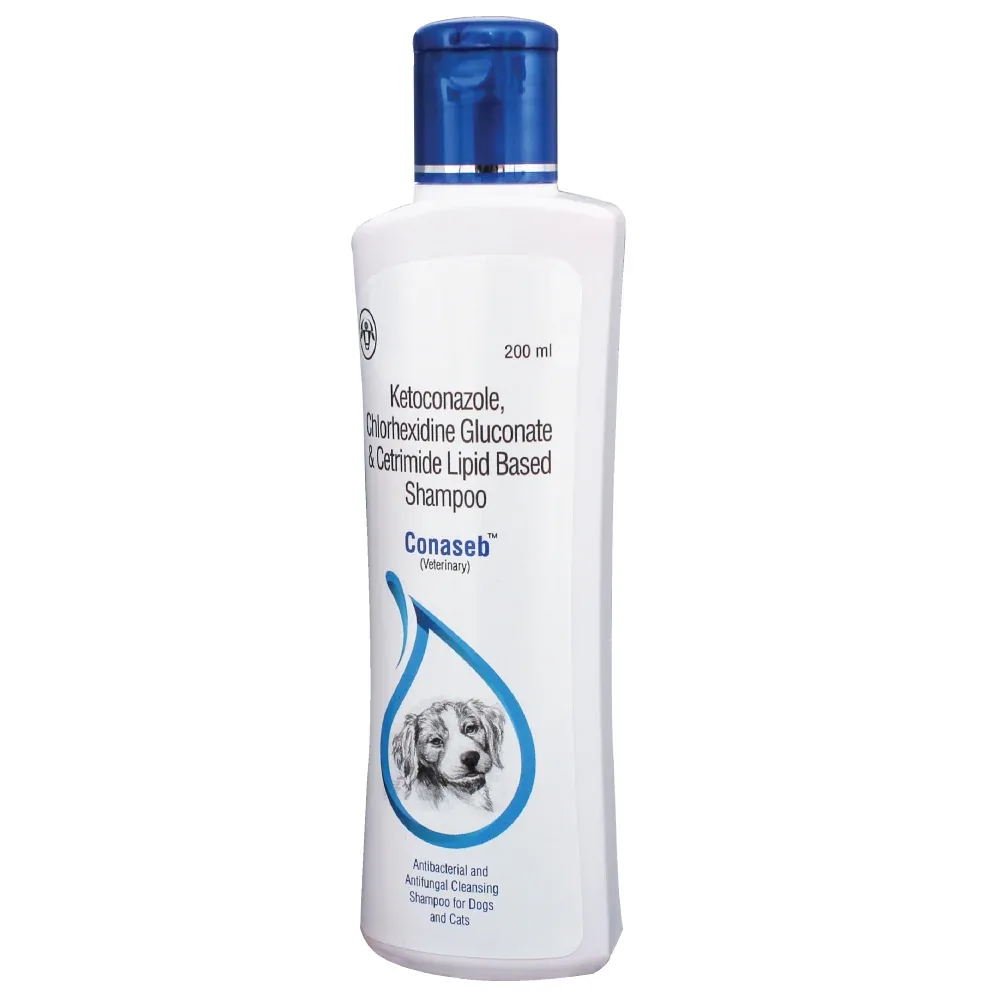 Intas Conaseb Antibacterial Antifungal Shampoo (200ml) and Intas Kiskin Lotion (100ml) Combo - Image 2