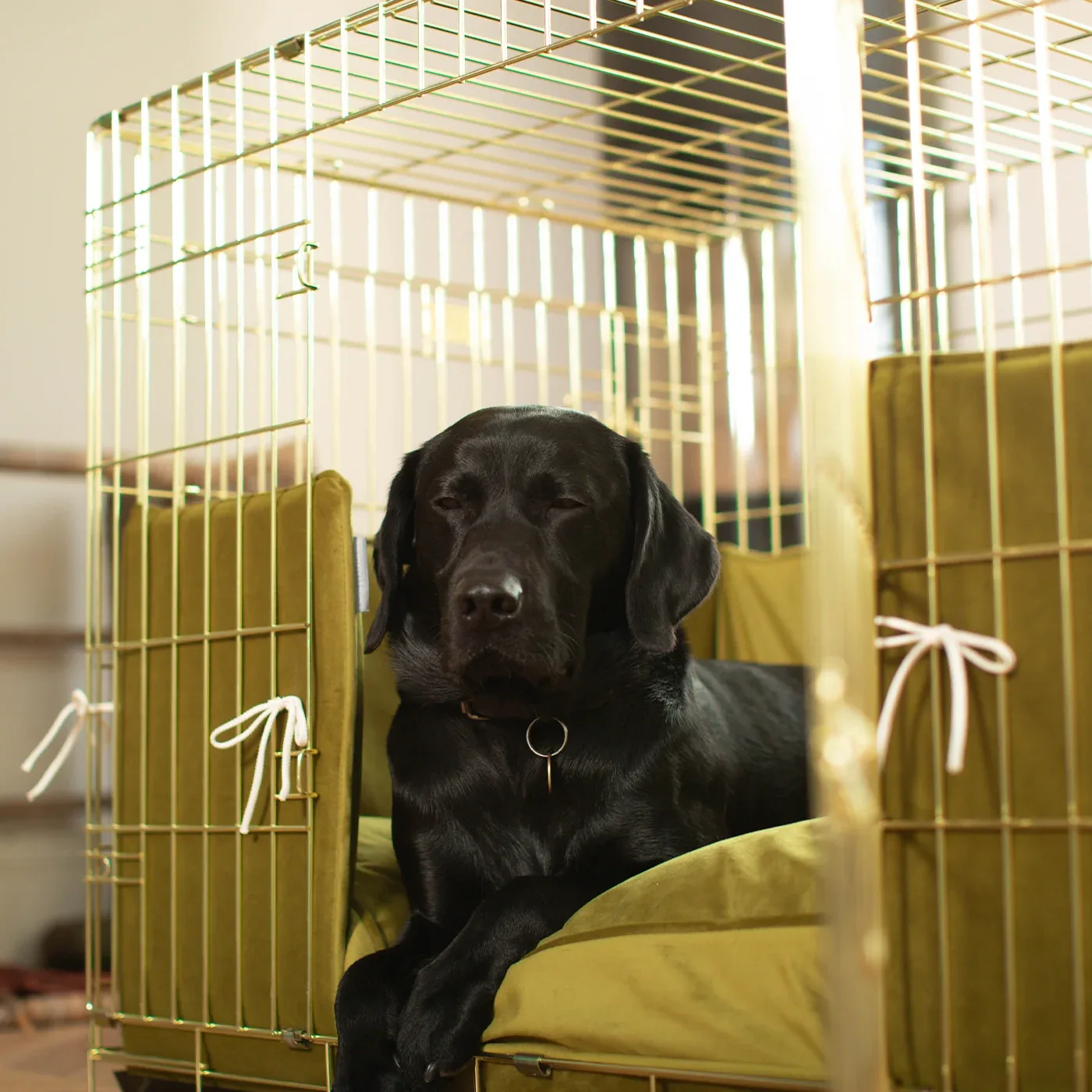 Dog Crate with Cushion & Bumper in Olive Velvet by Lords & Labradors