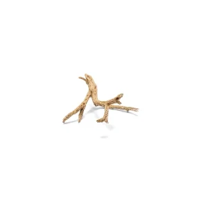 Cholla Driftwood Tree