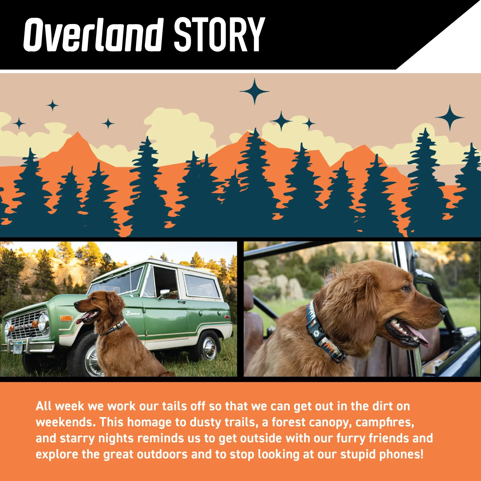 OverLand COMFORT DOG HARNESS - Image 2