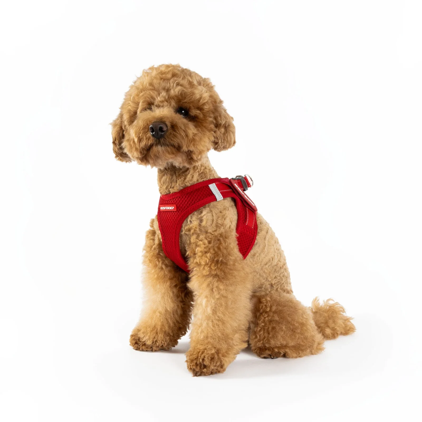 FORMFIT® Mesh Harness - Image 2