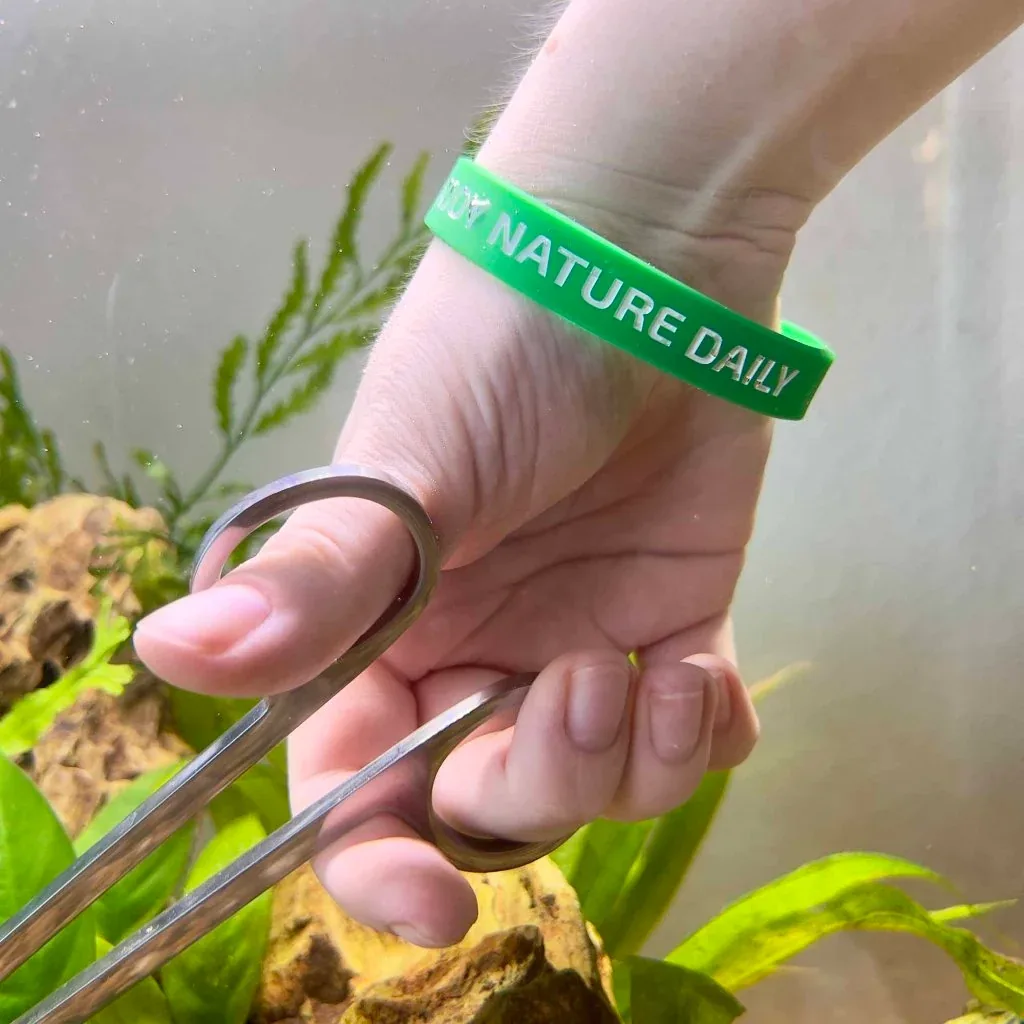 Enjoy Nature Daily Silicone Bracelet - Image 2