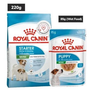 Royal Canin Mini Starter, Mother & Babydog Dry Food