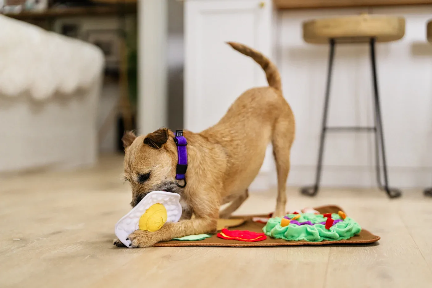 Savory Sunrise Snuffle Mat - Image 2