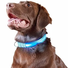 Furhaven LED Safety Pet Collar - Blue (Large) - Image 2
