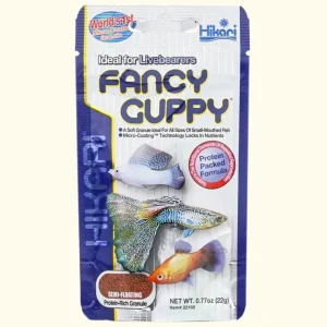 Hikari Fancy Guppy