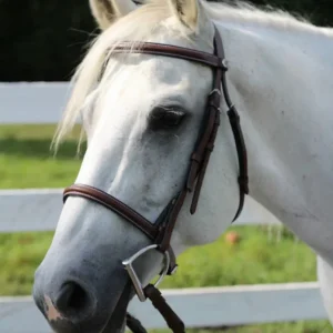 Plain Raised Bridle - Affordable Leather Bridle with Laced Reins