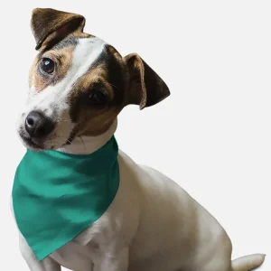 Seriously Sea Foam Dog Bandana