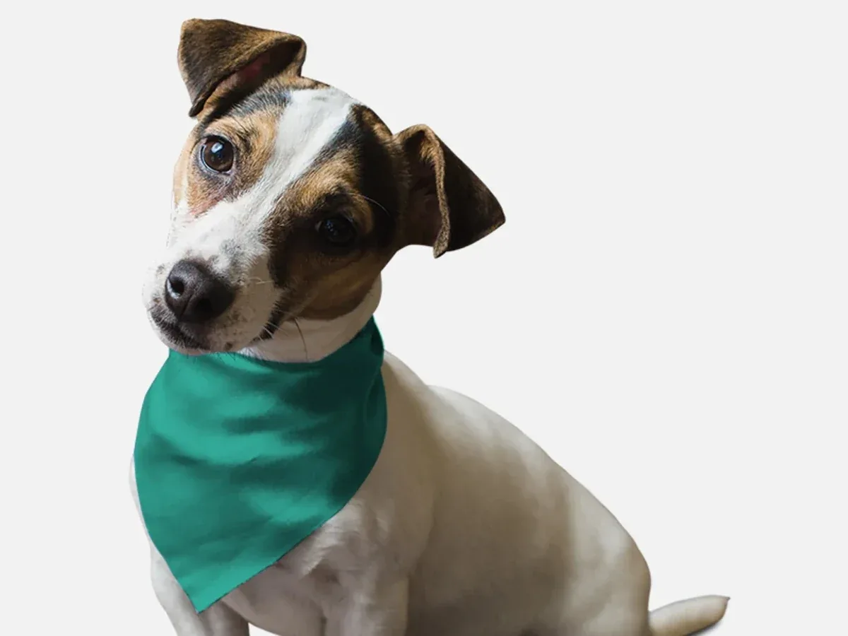 Seriously Sea Foam Dog Bandana