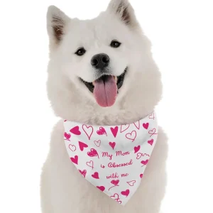 BanDoggie My Mom is Obsessed with Me Funny Dog Bandana