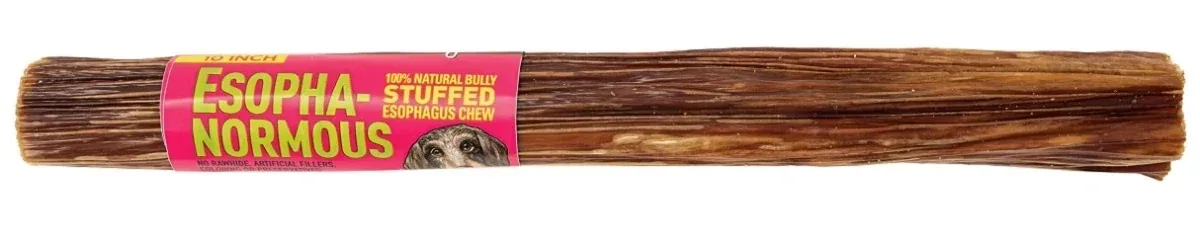 Etta Says! Esopha-normous Bully Stuffed Esophagus Dog Chew Indiv, 10"