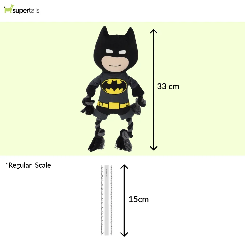 Warner Bros Batman Plush Toy for Dogs and Cats - Image 2