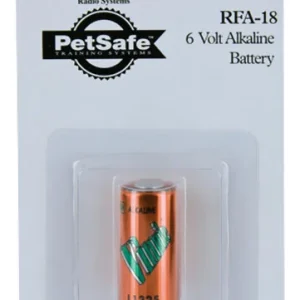 6 Volt Alkaline Battery