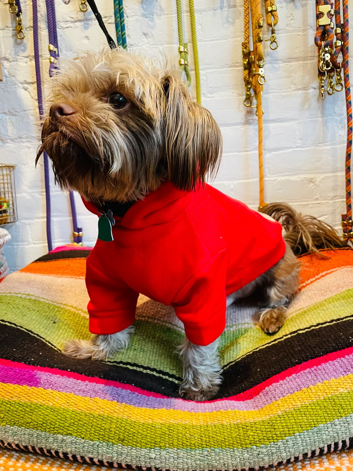 Wyatt Hoodie Sweatshirt - Red - Image 2