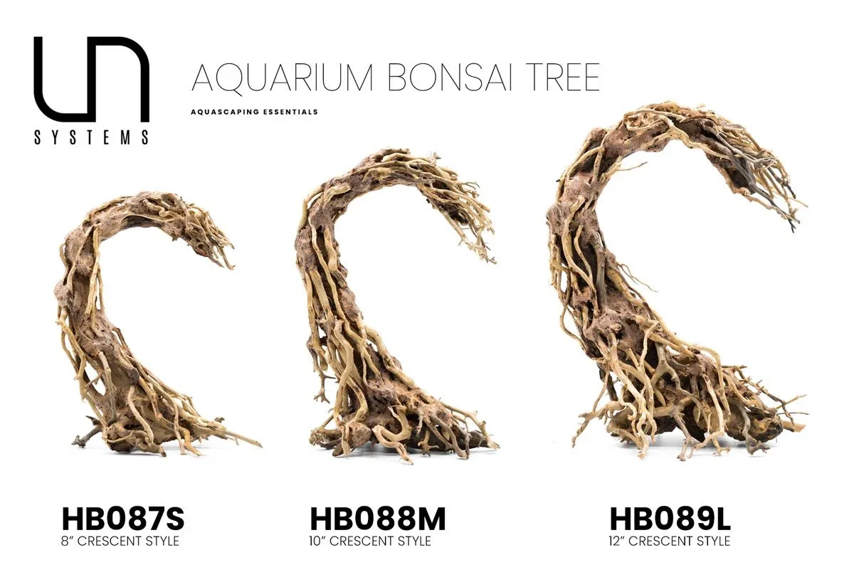 Crescent Shaped Bonsai Tree Aquarium Driftwood - Image 2