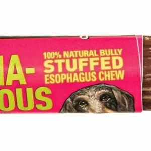 Etta Says! Esopha-normous Bully Stuffed Esophagus Dog Chew 5 in 20 ct Bag