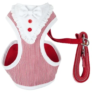 Pet Life ® Luxe 'Spawling' 2-In-1 Adjustable Fashion Dog Harness and Leash