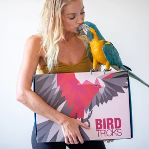 BirdTricks Sampler Box