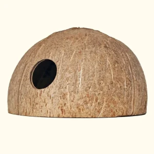 Coconut Hut