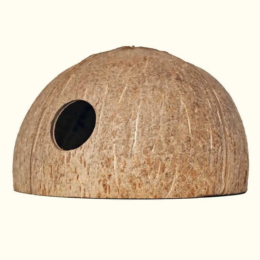 Coconut Hut