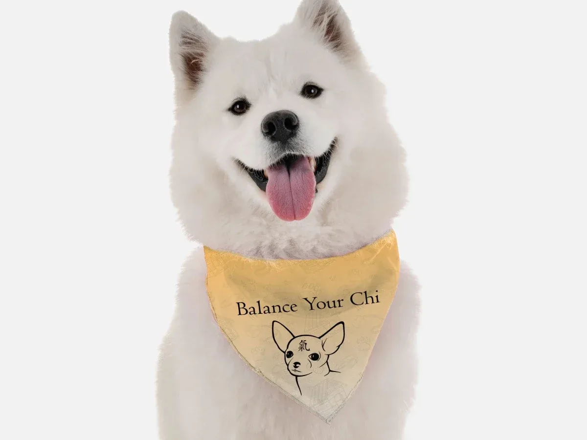 BanDoggie Balance Your Chi Dog Bandana - Soft Microfiber, Made in USA