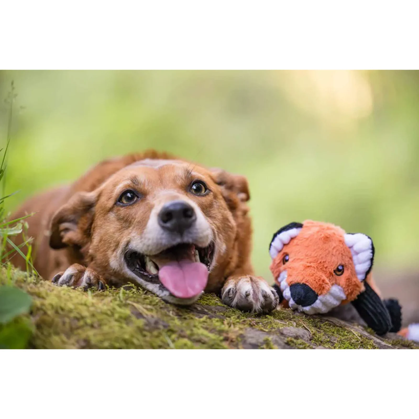 P.L.A.Y. Forest Friends Dog Toys - Image 2