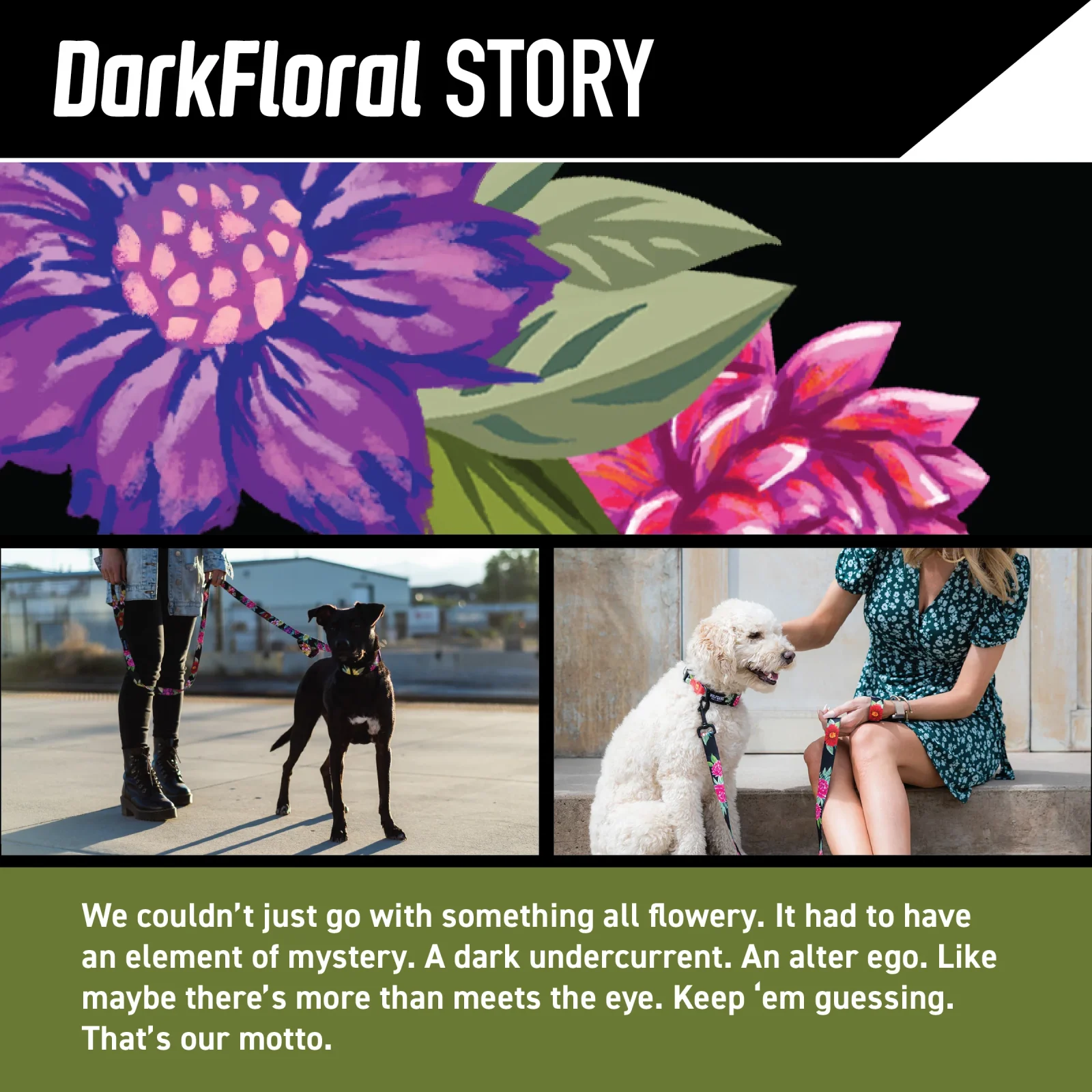 DarkFloral Dog Collar - Image 2