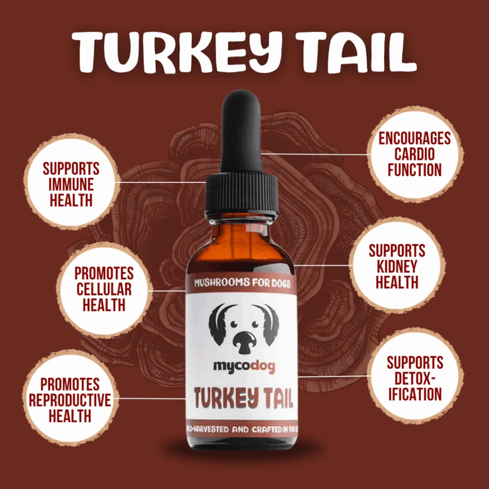 MycoDog Turkey Tail Mushroom Tincture for Dogs - Image 2