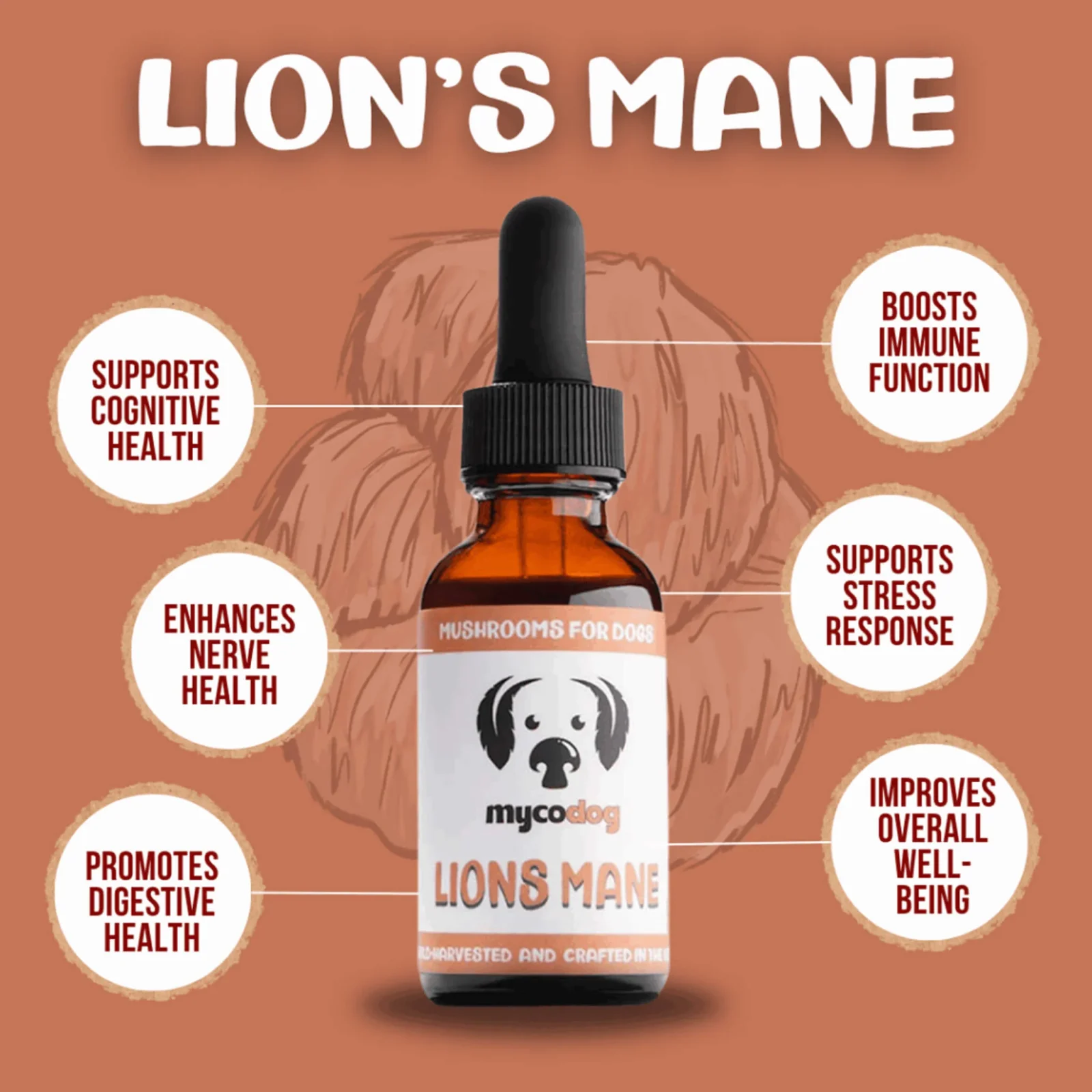 MycoDog Lion's Mane Mushroom Tincture for Dogs - Image 2