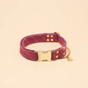 Dexter Large Dog Collar - Pink