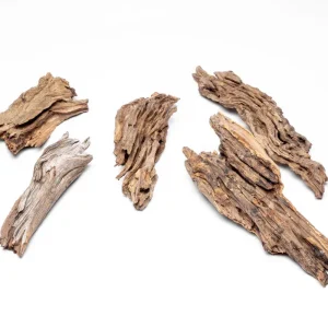 Forest Driftwood