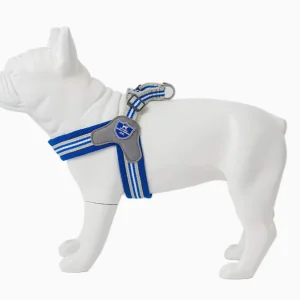 Royal Blue Easy On Harness