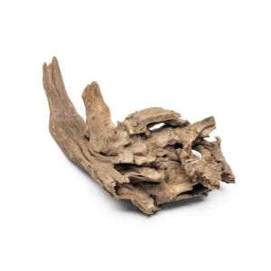 Pacific Driftwood Stump
