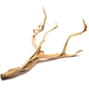 Ghost Wood