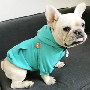 Heart Print Matching Pet and Owner Hoodie Set