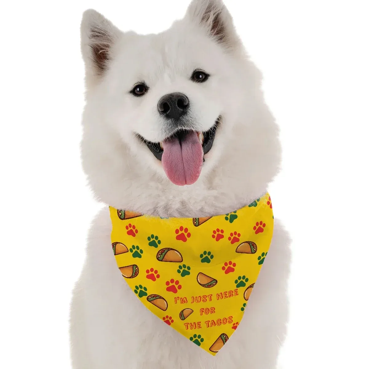 I'm Just Here for the Tacos Dog Bandana by BanDoggie