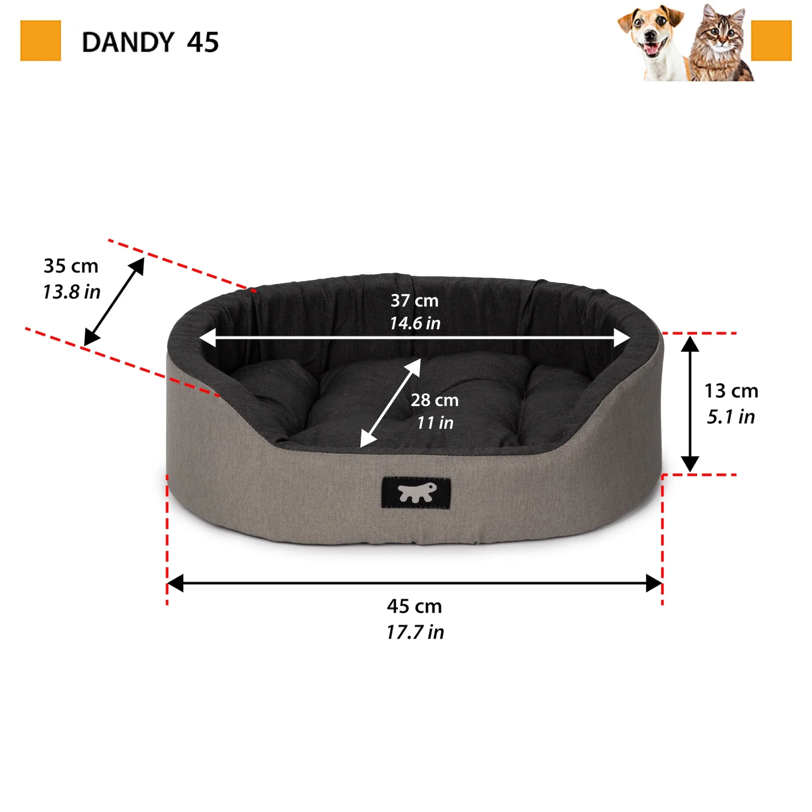 DANDY C COLOUR - Image 2