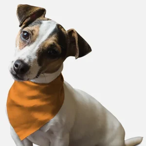 Florida Orange Dog Bandana by BanDoggie
