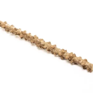 Blistered Driftwood Sticks