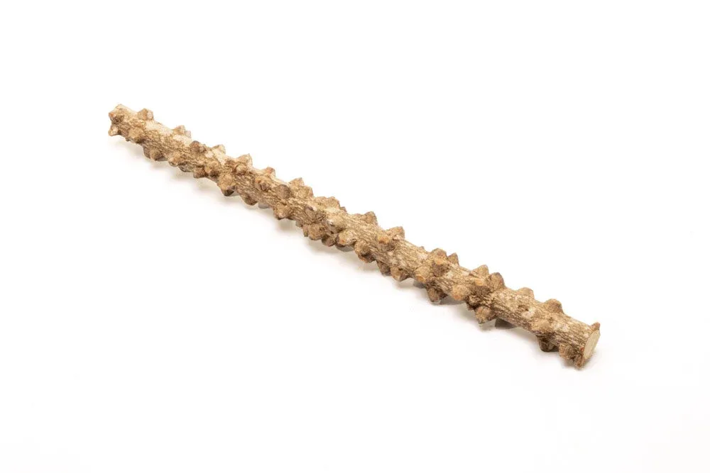 Blistered Driftwood Sticks