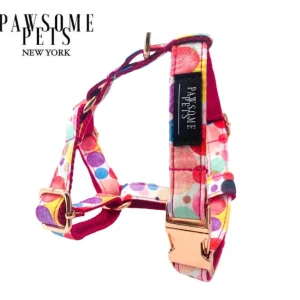 Step-in Dog Harness, Oh My Bubbles