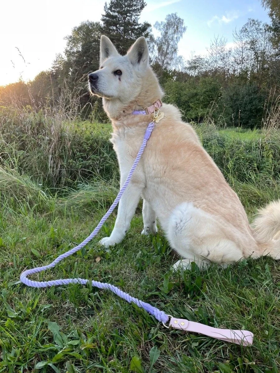 Luxe Royal Pink Leather Rope Dog Leash - Dinosaur