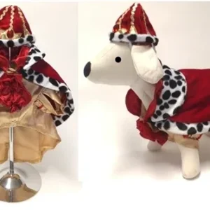 Royal King Costume